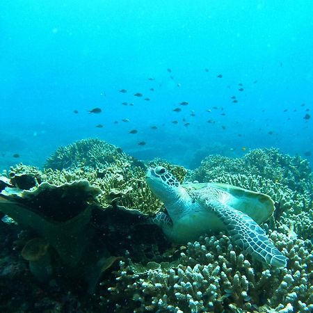 4 Sisters Divers Бунакен Экстерьер фото